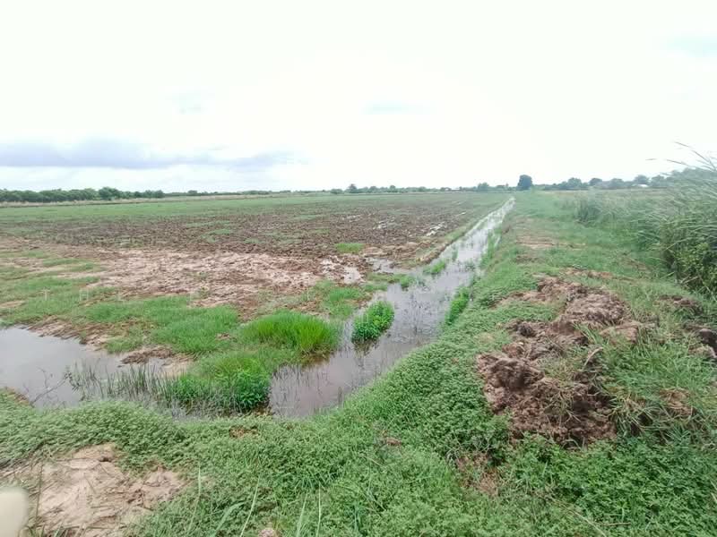 ทดนบานโพธ ฉะเชงเทรา, Chachoengsao, Don Sai, Ban Pho, Chachoengsao, , 58,268 sqm, Land For Sale, by The Best Property โบ, 500462106 - DDproperty.com