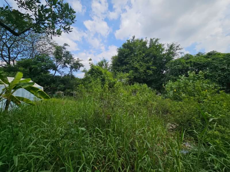 ทดนลาดกระบง กรงเทพมหานคร, Bangkok, Lat Krabang, Bangkok, , 3,061 sqm, Land For Sale, by The Best Property ยะ, 500462118 - DDproperty.com