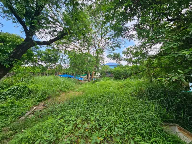 ทดนลาดกระบง กรงเทพมหานคร, Bangkok, Lat Krabang, Bangkok, , 3,061 sqm, Land For Sale, by The Best Property ยะ, 500462118 - DDproperty.com