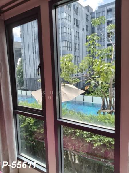Moniiq Sukhumvit 64 : โมนีคสุขุมวิท64, กรุงเทพ, ซอยสุขุมวิท 64, บางจาก, พระโขนง, กรุงเทพ, 32 ตร.ม., คอนโด ให้เช่า, โดย Susira Preuksawun, 500462127 - DDproperty.com