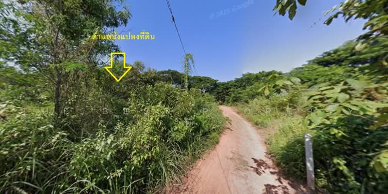 ทดนโพนพสย หนองคาย, หนองคาย, จุมพล, โพนพิสัย, หนองคาย, 400 ตร.ม., ที่ดิน ขาย, โดย The Best Property พี, 500462168 - DDproperty.com