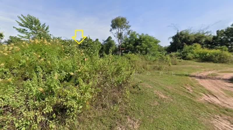 ทดนโพนพสย หนองคาย, หนองคาย, จุมพล, โพนพิสัย, หนองคาย, 400 ตร.ม., ที่ดิน ขาย, โดย The Best Property พี, 500462168 - DDproperty.com