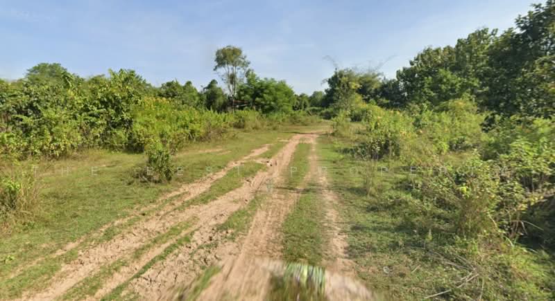 ทดนโพนพสย หนองคาย, หนองคาย, จุมพล, โพนพิสัย, หนองคาย, 400 ตร.ม., ที่ดิน ขาย, โดย The Best Property พี, 500462168 - DDproperty.com