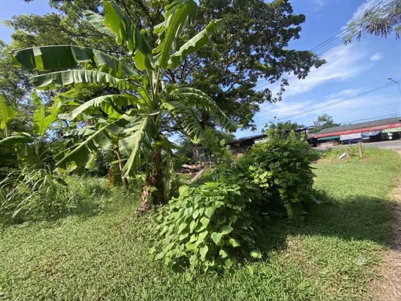 ทดนทาใหม จนทบร, จันทบุรี, คลองขุด, ท่าใหม่, จันทบุรี, 1,656 ตร.ม., ที่ดิน ขาย, โดย The Best Property ออฟ, 500462202 - DDproperty.com