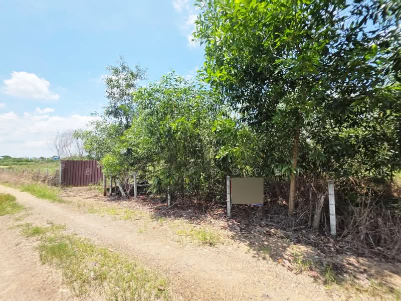 ทดนหนองเสอ ปทมธาน, Pathum Thani, Bung Ba, Nong Sua, Pathum Thani, , 1,600 sqm, Land For Sale, by The Best Property บี, 500462203 - DDproperty.com