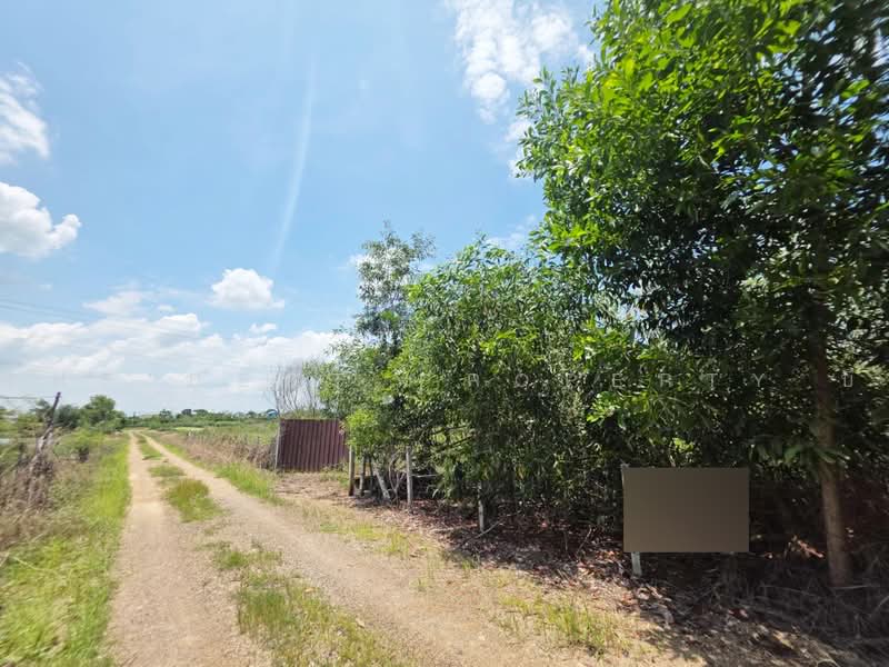 ทดนหนองเสอ ปทมธาน, ปทุมธานี, บึงบา, หนองเสือ, ปทุมธานี, 1,600 ตร.ม., ที่ดิน ขาย, โดย The Best Property บี, 500462203 - DDproperty.com