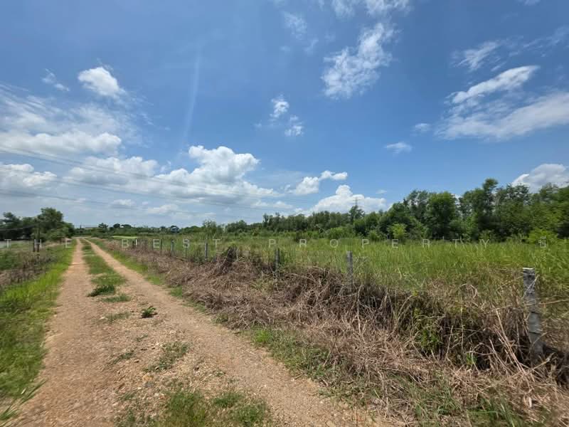 ทดนหนองเสอ ปทมธาน, Pathum Thani, Bung Ba, Nong Sua, Pathum Thani, , 1,600 sqm, Land For Sale, by The Best Property บี, 500462203 - DDproperty.com