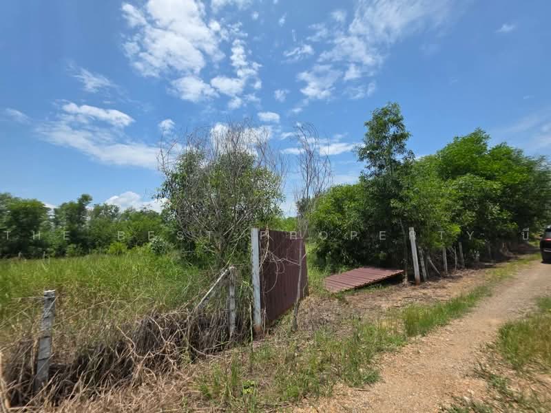 ทดนหนองเสอ ปทมธาน, Pathum Thani, Bung Ba, Nong Sua, Pathum Thani, , 1,600 sqm, Land For Sale, by The Best Property บี, 500462203 - DDproperty.com