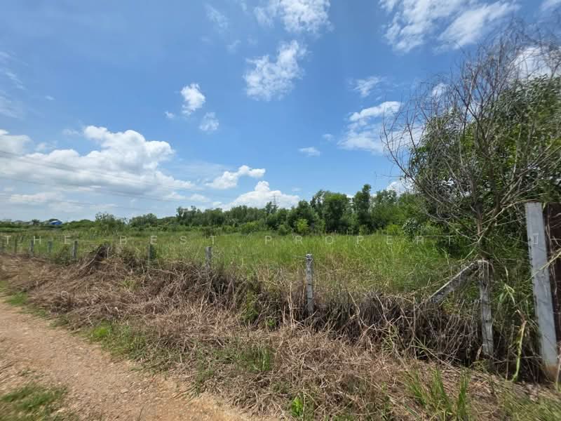 ทดนหนองเสอ ปทมธาน, ปทุมธานี, บึงบา, หนองเสือ, ปทุมธานี, 1,600 ตร.ม., ที่ดิน ขาย, โดย The Best Property บี, 500462203 - DDproperty.com