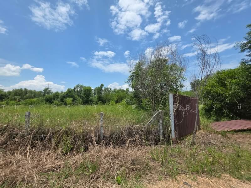 ทดนหนองเสอ ปทมธาน, Pathum Thani, Bung Ba, Nong Sua, Pathum Thani, , 1,600 sqm, Land For Sale, by The Best Property บี, 500462203 - DDproperty.com