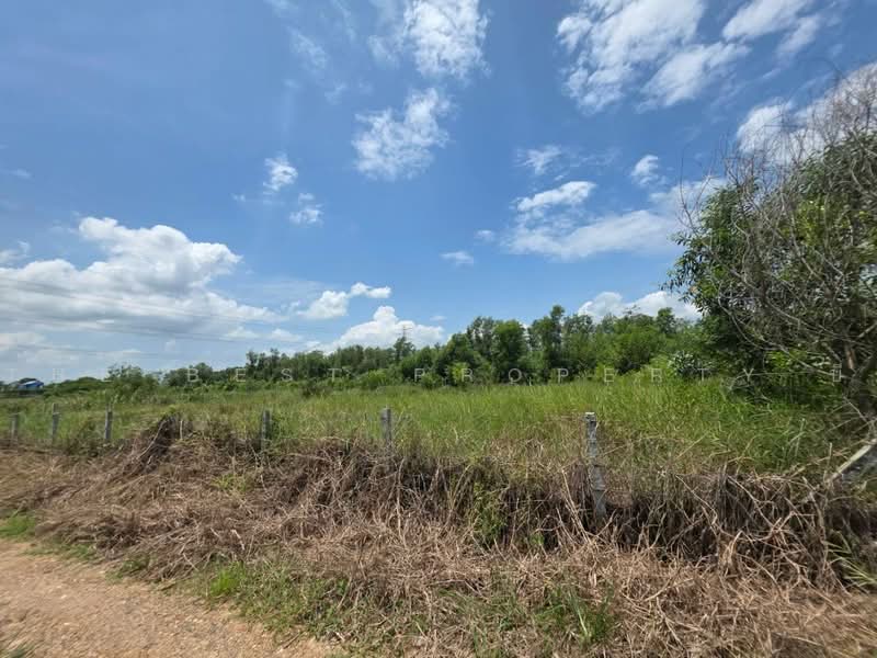 ทดนหนองเสอ ปทมธาน, Pathum Thani, Bung Ba, Nong Sua, Pathum Thani, , 1,600 sqm, Land For Sale, by The Best Property บี, 500462203 - DDproperty.com