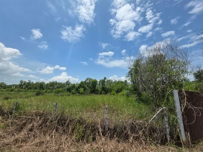 ทดนหนองเสอ ปทมธาน, Pathum Thani, Bung Ba, Nong Sua, Pathum Thani, , 1,600 sqm, Land For Sale, by The Best Property บี, 500462203 - DDproperty.com