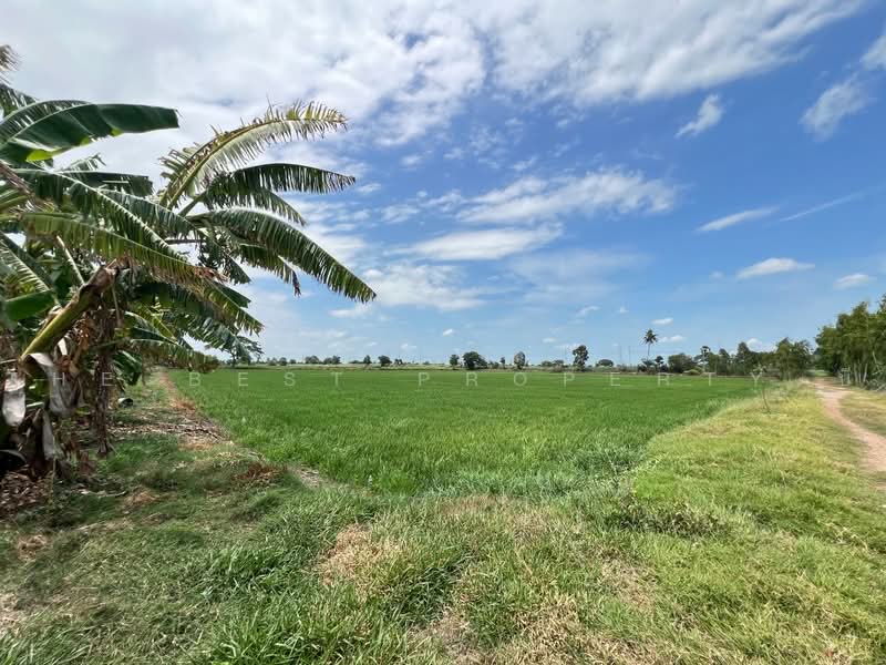 ทดนลาดบวหลวง พระนครศรอยธยา, Phra Nakhon Si Ayutthaya, Lat Bua Luang, Phra Nakhon Si Ayutthaya, , 17,424 sqm, Land For Sale, by The Best Property บี, 500462222 - DDproperty.com