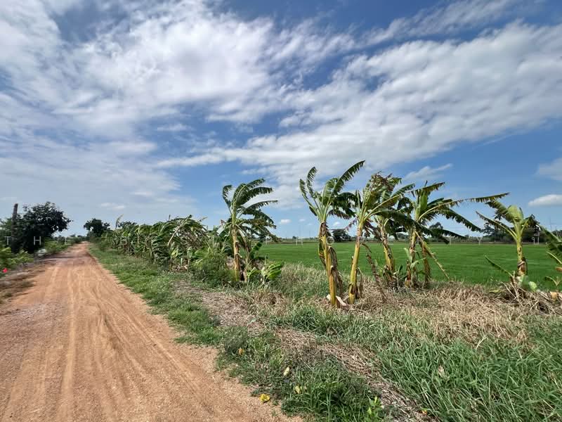 ทดนลาดบวหลวง พระนครศรอยธยา, Phra Nakhon Si Ayutthaya, Lat Bua Luang, Phra Nakhon Si Ayutthaya, , 17,424 sqm, Land For Sale, by The Best Property บี, 500462222 - DDproperty.com