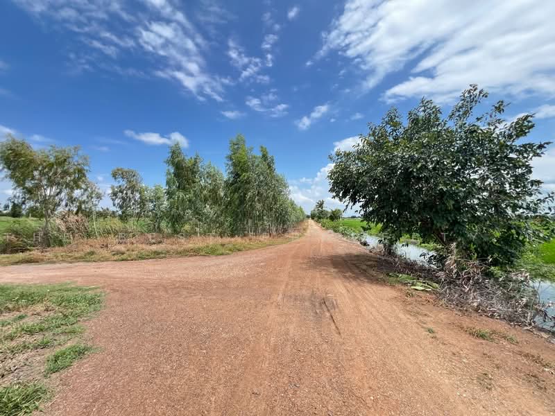 ทดนลาดบวหลวง พระนครศรอยธยา, Phra Nakhon Si Ayutthaya, Lat Bua Luang, Phra Nakhon Si Ayutthaya, , 17,424 sqm, Land For Sale, by The Best Property บี, 500462222 - DDproperty.com