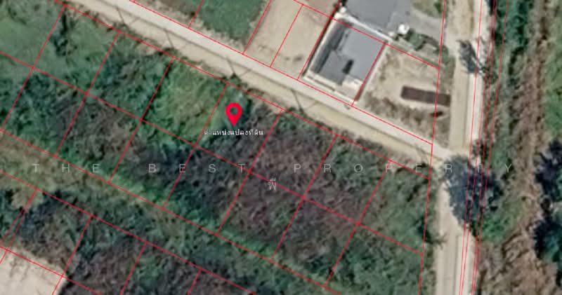 ทดนพานทอง ชลบร, Chon Buri (Pattaya), Map Pong, Phan Thong, Chon Buri (Pattaya), , 200 sqm, Land For Sale, by The Best Property พี, 500462231 - DDproperty.com