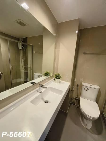 IDEO Sukhumvit 93 : ไอดีโอ สุขุมวิท 93, กรุงเทพ, 2331 ซอยสุขุมวิท 93, บางจาก, พระโขนง, กรุงเทพ, 26 ตร.ม., คอนโด ให้เช่า, โดย Susira Preuksawun, 500462234 - DDproperty.com