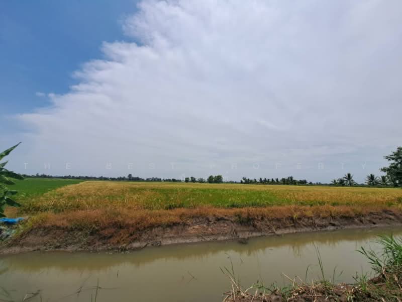 เกาเลยว, Nakhon Sawan, Kao Din, Kao Lieo, Nakhon Sawan, , 6,192 sqm, Land For Sale, by The Best Property เบ็นซ์, 500462268 - DDproperty.com