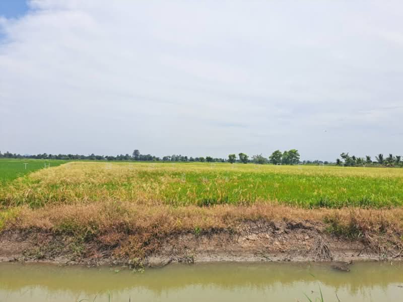 เกาเลยว, นครสวรรค์, เขาดิน, เก้าเลี้ยว, นครสวรรค์, 6,192 ตร.ม., ที่ดิน ขาย, โดย The Best Property เบ็นซ์, 500462268 - DDproperty.com
