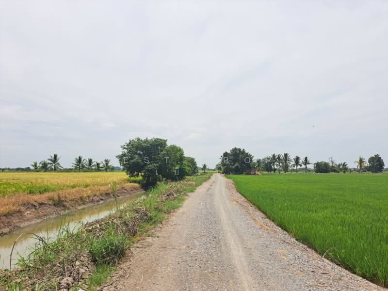เกาเลยว, Nakhon Sawan, Kao Din, Kao Lieo, Nakhon Sawan, , 6,192 sqm, Land For Sale, by The Best Property เบ็นซ์, 500462268 - DDproperty.com
