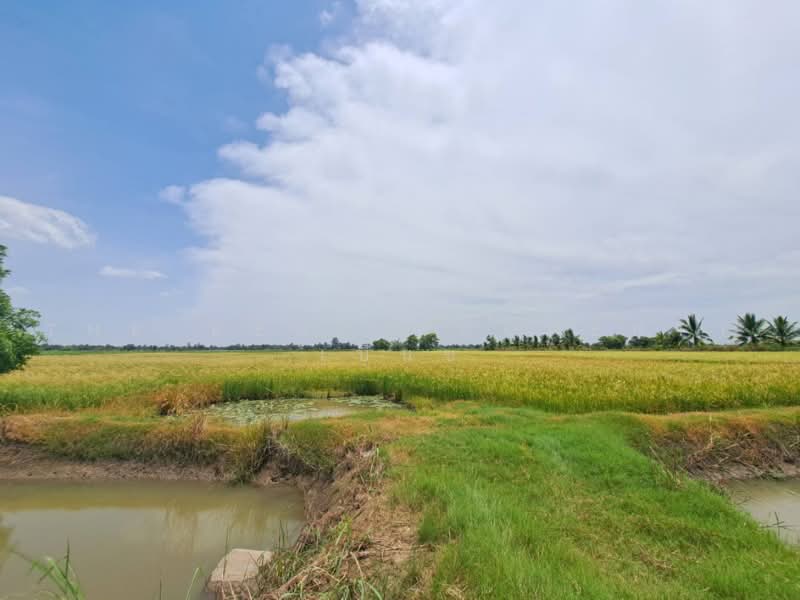เกาเลยว, นครสวรรค์, เขาดิน, เก้าเลี้ยว, นครสวรรค์, 6,192 ตร.ม., ที่ดิน ขาย, โดย The Best Property เบ็นซ์, 500462268 - DDproperty.com