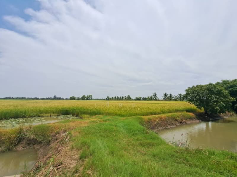 เกาเลยว, Nakhon Sawan, Kao Din, Kao Lieo, Nakhon Sawan, , 6,192 sqm, Land For Sale, by The Best Property เบ็นซ์, 500462268 - DDproperty.com