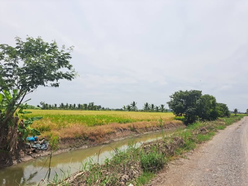 เกาเลยว, Nakhon Sawan, Kao Din, Kao Lieo, Nakhon Sawan, , 6,192 sqm, Land For Sale, by The Best Property เบ็นซ์, 500462268 - DDproperty.com