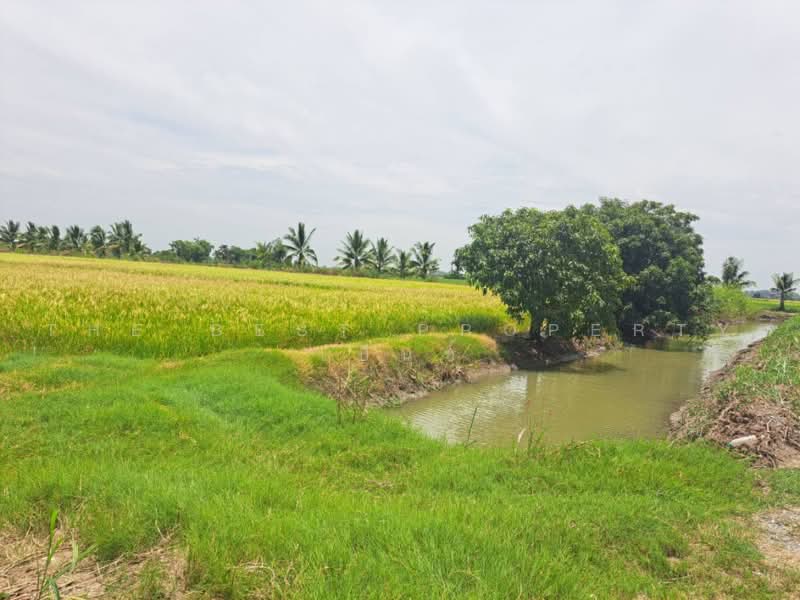 เกาเลยว, Nakhon Sawan, Kao Din, Kao Lieo, Nakhon Sawan, , 6,192 sqm, Land For Sale, by The Best Property เบ็นซ์, 500462268 - DDproperty.com