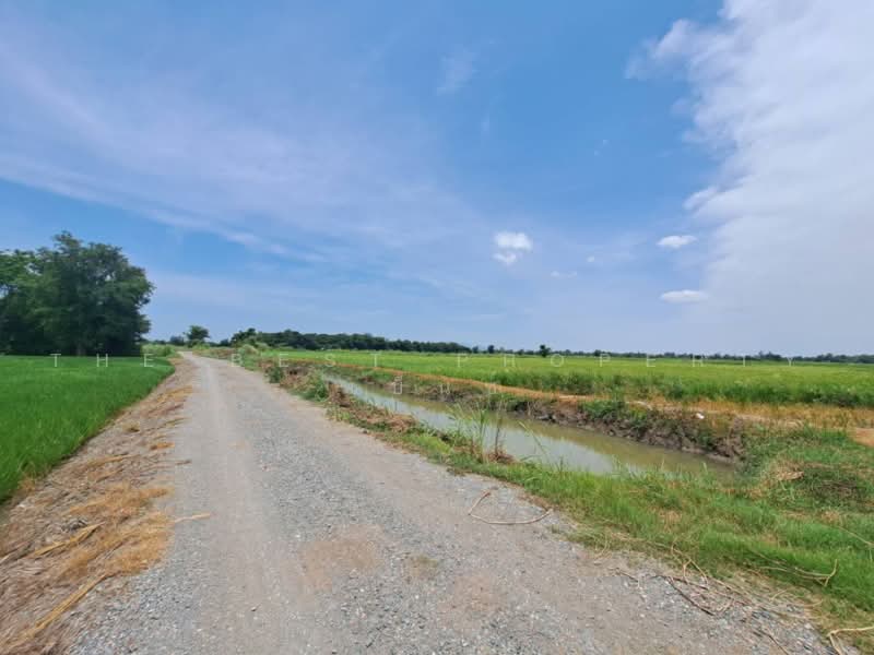 เกาเลยว, Nakhon Sawan, Kao Din, Kao Lieo, Nakhon Sawan, , 6,192 sqm, Land For Sale, by The Best Property เบ็นซ์, 500462268 - DDproperty.com