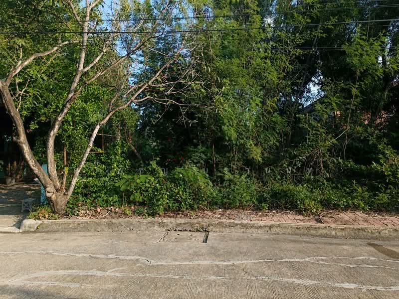 คลองหลวง, Pathum Thani, ถนนเลียบคลอง 4 ฝั่งตะวันตก, Khlong Si, Khlong Luang, Pathum Thani, , 280 sqm, Land For Sale, by ศุภพิชญ์ บุรานนท์, 500462317 - DDproperty.com