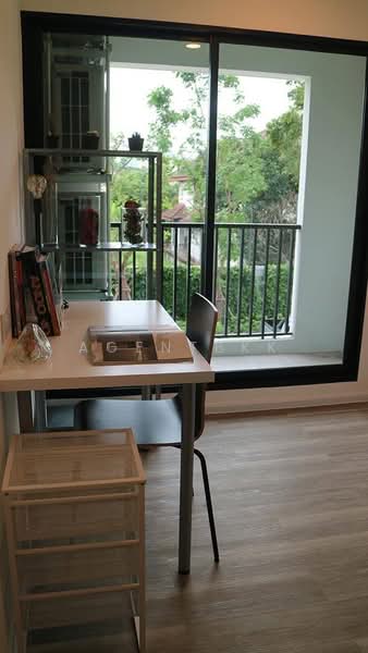 Kensington Kaset-Campus, Bangkok, Soi Phahon Yothin 49/1, Lat Yao, Chatuchak, Bangkok, 1 Bedroom, 31 sqm, Condo For Rent, by Agentbkk, 500462322 - DDproperty.com