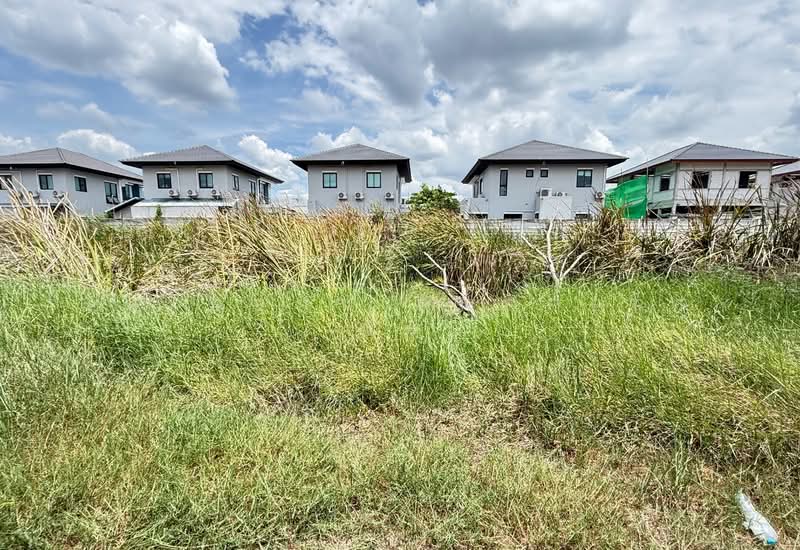 ทดนคลองหลวง ปทมธาน, Pathum Thani, Khlong Song, Khlong Luang, Pathum Thani, , 1,432 sqm, Land For Sale, by The Best Property อั๋น, 500462345 - DDproperty.com