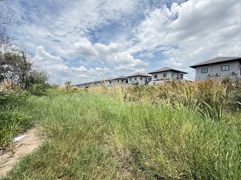 ทดนคลองหลวง ปทมธาน, Pathum Thani, Khlong Song, Khlong Luang, Pathum Thani, , 1,432 sqm, Land For Sale, by The Best Property อั๋น, 500462345 - DDproperty.com