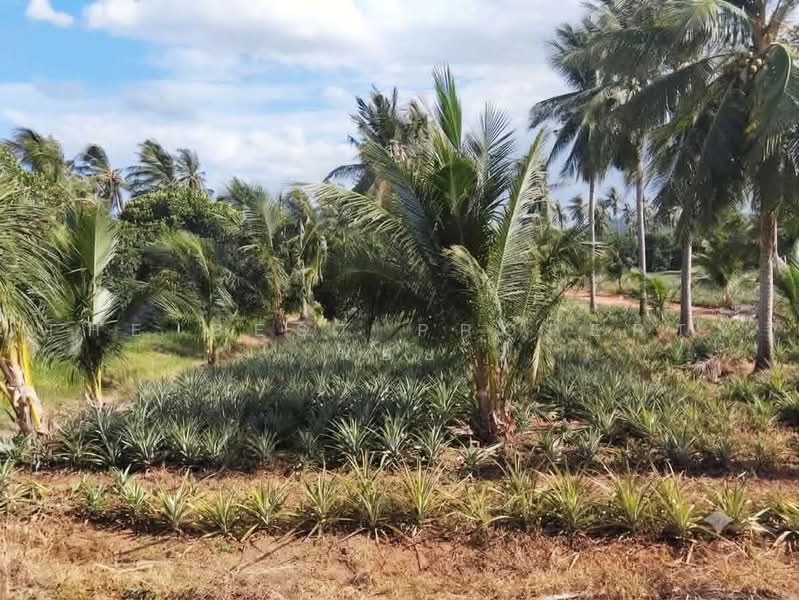 ทดนปราณบร ประจวบครขนธ, Prachuap Khiri Khan, Pak Nam Pran, Pran Buri, Prachuap Khiri Khan, , 6,500 sqm, Land For Sale, by The Best Property น้อย, 500462351 - DDproperty.com