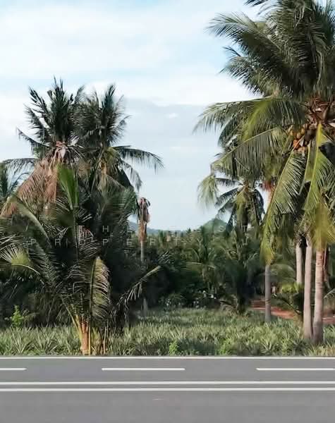 ทดนปราณบร ประจวบครขนธ, Prachuap Khiri Khan, Pak Nam Pran, Pran Buri, Prachuap Khiri Khan, , 6,500 sqm, Land For Sale, by The Best Property น้อย, 500462351 - DDproperty.com