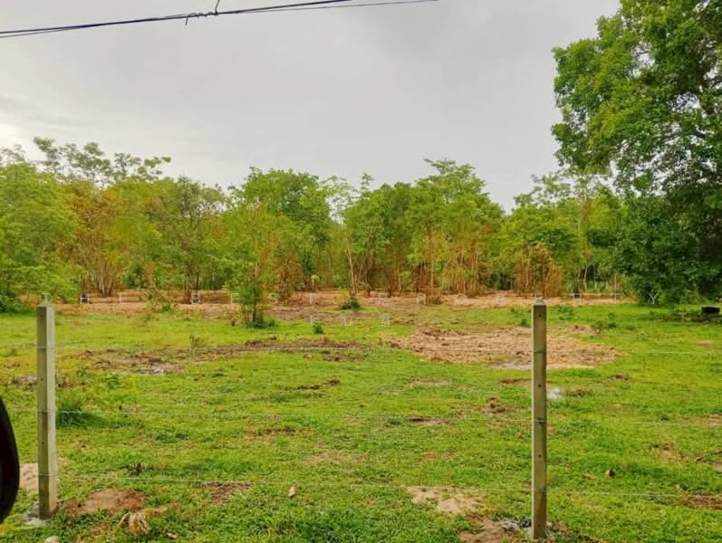 ทดนทงสง นครศรธรรมราช, Nakhon Si Thammarat, Thi Wang, Thung Song, Nakhon Si Thammarat, , 9,544 sqm, Land For Sale, by The Best Property เบล, 500462356 - DDproperty.com