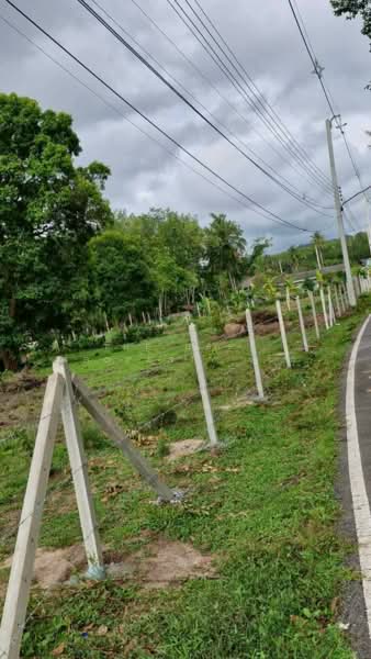 ทดนทงสง นครศรธรรมราช, Nakhon Si Thammarat, Thi Wang, Thung Song, Nakhon Si Thammarat, , 9,544 sqm, Land For Sale, by The Best Property เบล, 500462356 - DDproperty.com