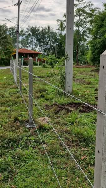 ทดนทงสง นครศรธรรมราช, Nakhon Si Thammarat, Thi Wang, Thung Song, Nakhon Si Thammarat, , 9,544 sqm, Land For Sale, by The Best Property เบล, 500462356 - DDproperty.com