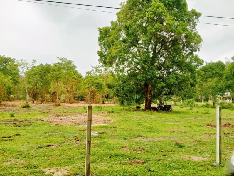 ทดนทงสง นครศรธรรมราช, Nakhon Si Thammarat, Thi Wang, Thung Song, Nakhon Si Thammarat, , 9,544 sqm, Land For Sale, by The Best Property เบล, 500462356 - DDproperty.com