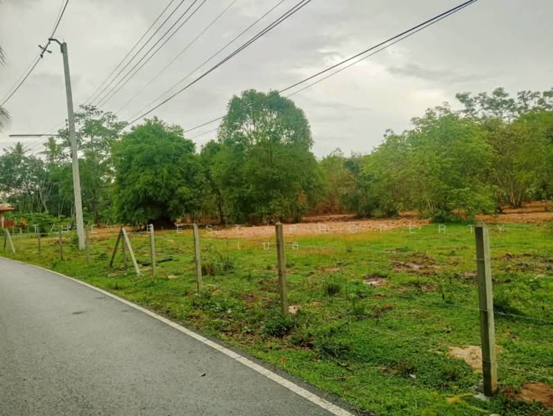 ทดนทงสง นครศรธรรมราช, Nakhon Si Thammarat, Thi Wang, Thung Song, Nakhon Si Thammarat, , 9,544 sqm, Land For Sale, by The Best Property เบล, 500462356 - DDproperty.com