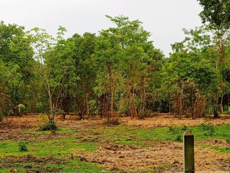 ทดนทงสง นครศรธรรมราช, Nakhon Si Thammarat, Thi Wang, Thung Song, Nakhon Si Thammarat, , 9,544 sqm, Land For Sale, by The Best Property เบล, 500462356 - DDproperty.com