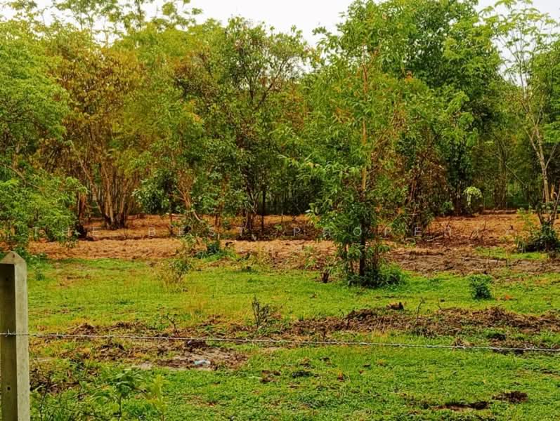 ทดนทงสง นครศรธรรมราช, Nakhon Si Thammarat, Thi Wang, Thung Song, Nakhon Si Thammarat, , 9,544 sqm, Land For Sale, by The Best Property เบล, 500462356 - DDproperty.com