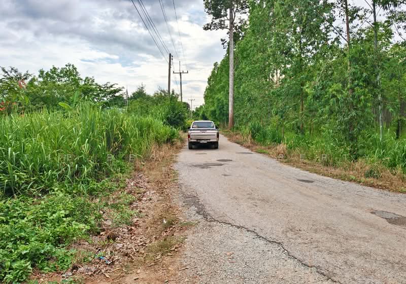 ทดนสนามชยเขต ฉะเชงเทรา, Chachoengsao, Latkrathing, Sanam Chaikhet, Chachoengsao, , 41,986 sqm, Land For Sale, by The Best Property ซายน์, 500462357 - DDproperty.com
