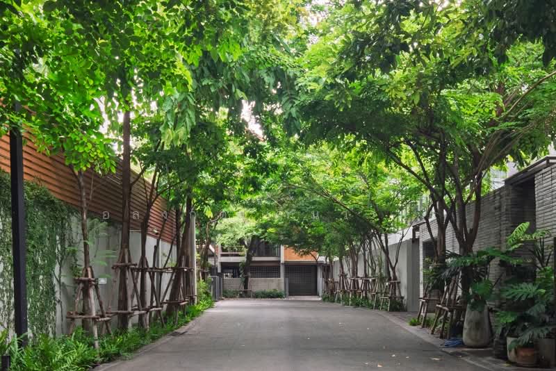 บ้าน บ้าน วิภาวดี 20 (Baanbaan Vibhavadi 20), กรุงเทพ, Soi Vibhavadi 20, จตุจักร, กรุงเทพ, 620 ตร.ม., บ้านเดี่ยว ขาย, โดย อลงกต คำนวรพร, 500462372 - DDproperty.com