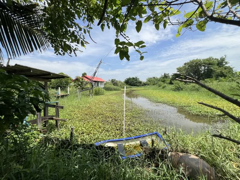 ทดนบานโพธ ฉะเชงเทรา, ฉะเชิงเทรา, คลองขุด, บ้านโพธิ์, ฉะเชิงเทรา, 4,644 ตร.ม., ที่ดิน ขาย, โดย The Best Property หลิน, 500462445 - DDproperty.com