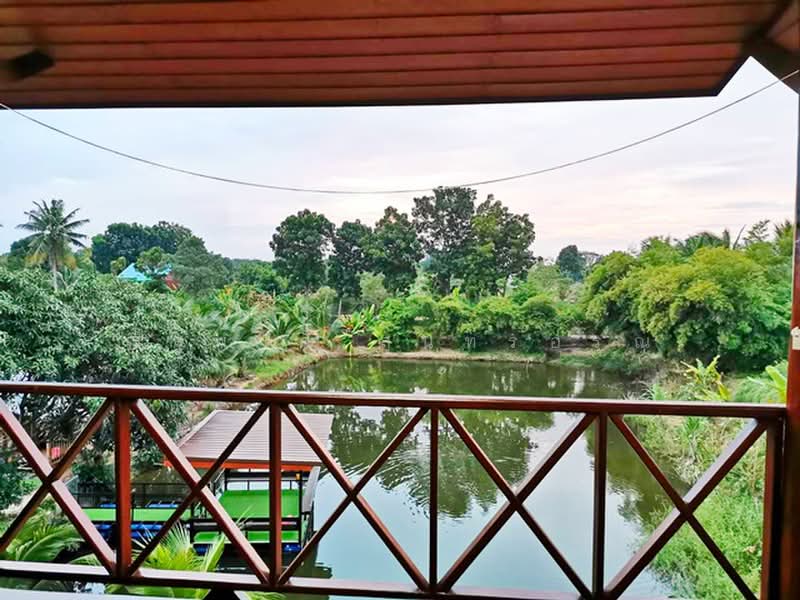 ไมพบโครงการ, Nakhon Ratchasima, ถ.บางปะอิน-หนองคาย หมายเลข 6, Ban Han, Sikhiu, Nakhon Ratchasima, 4 Bedrooms, 300 sqm, Single Detached House For Rent, by ณัฐพงศ์ สุนทรอรุณ, 500462464 - DDproperty.com