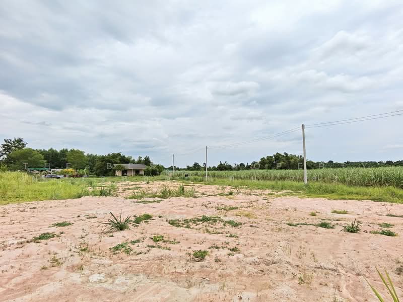 ทดนบานบง ชลบร, ชลบุรี, คลองกิ่ว, บ้านบึง, ชลบุรี, 3,200 ตร.ม., ที่ดิน ขาย, โดย The Best Property ต้อม (รหัสตัวแทน 7838) Line ID :, 500462513 - DDproperty.com