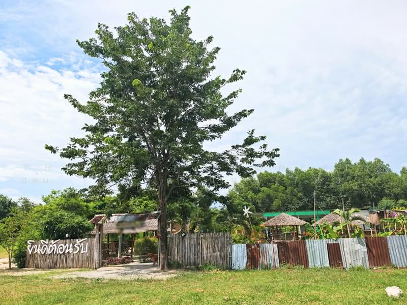 ทดนบานบง ชลบร, ชลบุรี, คลองกิ่ว, บ้านบึง, ชลบุรี, 3,200 ตร.ม., ที่ดิน ขาย, โดย The Best Property ต้อม (รหัสตัวแทน 7838) Line ID :, 500462513 - DDproperty.com
