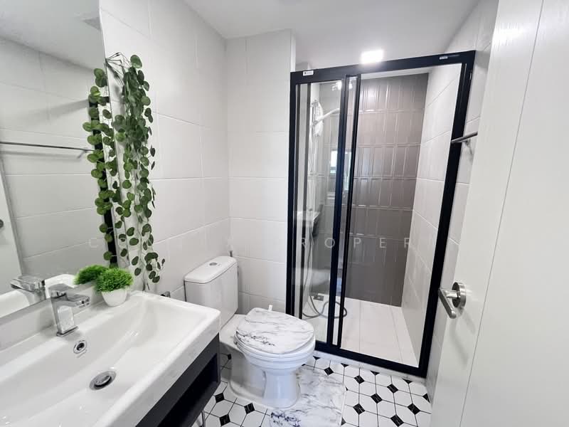 Kave Wonderland, Pathum Thani, Khlong Nung, Khlong Luang, Pathum Thani, 1 Bedroom, 26 sqm, Condo For Rent, by Connex Property, 500462523 - DDproperty.com