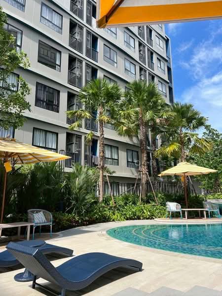 DCondo Reef, Phuket, 78 Soi Dara, Kathu, Phuket, 1 Bedroom, 28 sqm, Condo For Rent, by PK LIFE Property, 500462578 - DDproperty.com